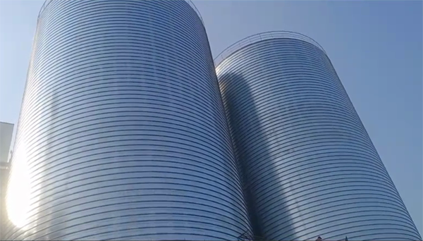 荣邦乡2座混凝土高架卷板仓